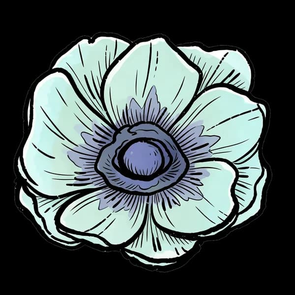 Anemone bouquet