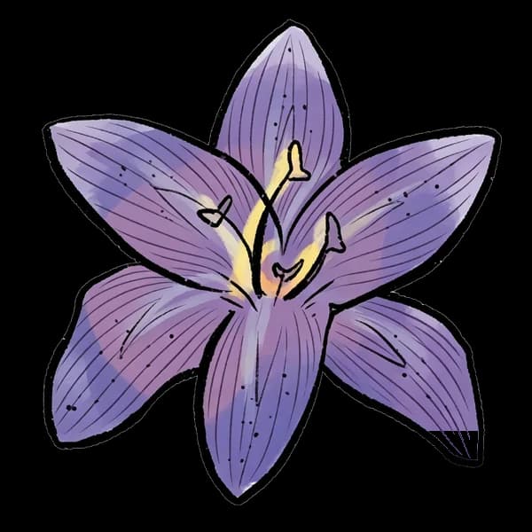 Lily bouquet