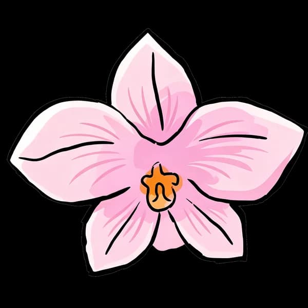 Orchid bouquet