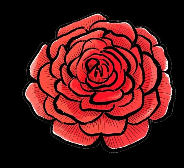 Ranunculus bouquet