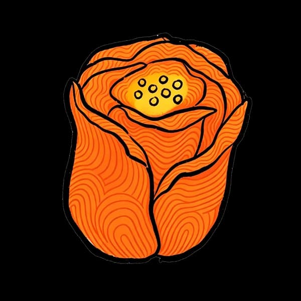 Tulip bouquet
